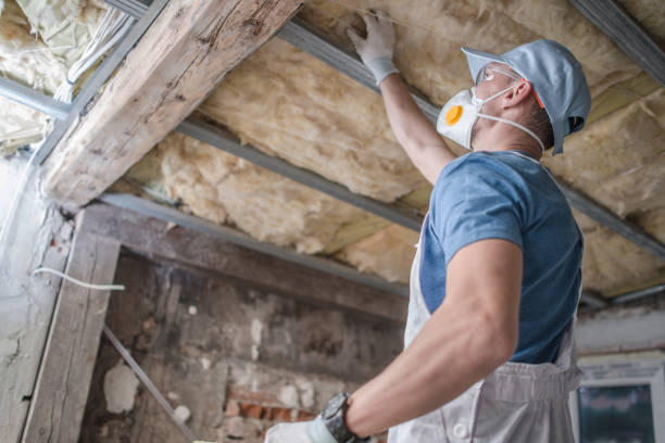 Types of Insulation We Offer in Trinidad, CO